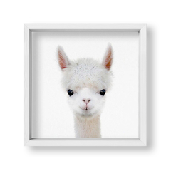 Cuadro Baby Llama - tienda online