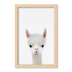 Cuadro Baby Llama