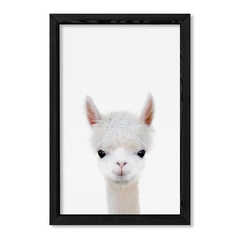 Cuadro Baby Llama en internet