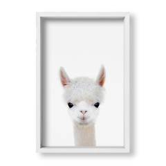 Cuadro Baby Llama - tienda online