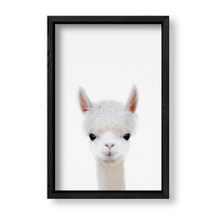 Imagen de Cuadro Baby Llama