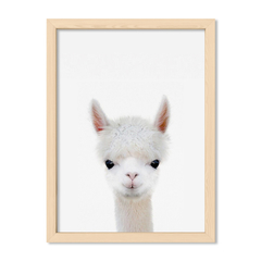 Cuadro Baby Llama