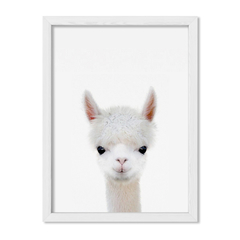 Cuadro Baby Llama - comprar online