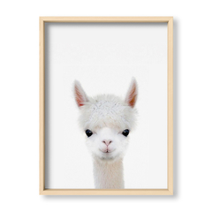 Cuadro Baby Llama - El Nido - Tienda de Objetos