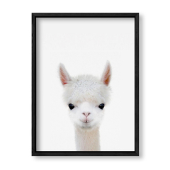 Imagen de Cuadro Baby Llama