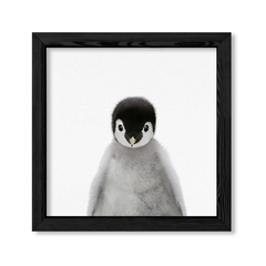 Cuadro Baby Pinguino en internet