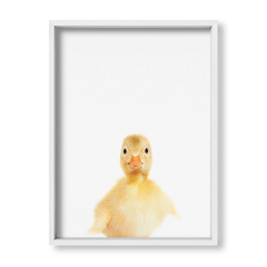 Cuadro Baby Pato - tienda online