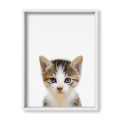 Cuadro Baby Gato - tienda online