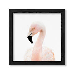 Cuadro Baby Flamingo en internet