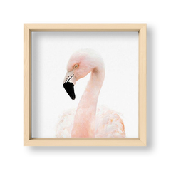 Cuadro Baby Flamingo - El Nido - Tienda de Objetos
