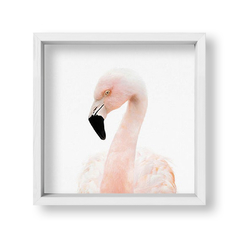 Cuadro Baby Flamingo - tienda online