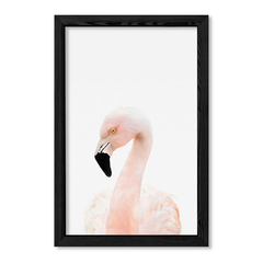 Cuadro Baby Flamingo en internet