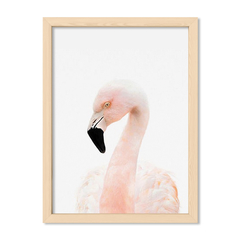 Cuadro Baby Flamingo