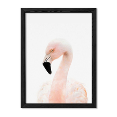 Cuadro Baby Flamingo en internet