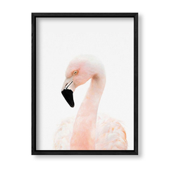 Imagen de Cuadro Baby Flamingo