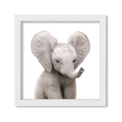 Cuadro Baby Elefante - comprar online