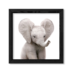 Cuadro Baby Elefante en internet