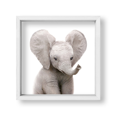 Cuadro Baby Elefante - tienda online