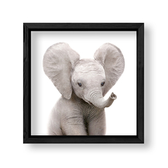 Imagen de Cuadro Baby Elefante