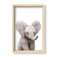 Cuadro Baby Elefante - El Nido - Tienda de Objetos