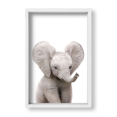 Cuadro Baby Elefante - tienda online
