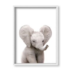 Cuadro Baby Elefante - tienda online