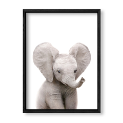Imagen de Cuadro Baby Elefante