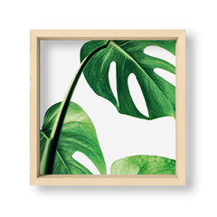Cuadro Green Botanic Leaves 1 - El Nido - Tienda de Objetos