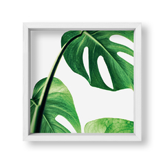 Cuadro Green Botanic Leaves 1 - tienda online