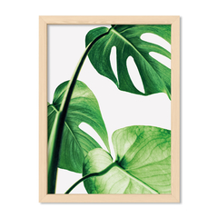 Cuadro Green Botanic Leaves 1