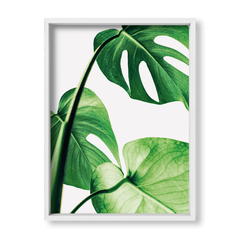 Cuadro Green Botanic Leaves 1 - tienda online