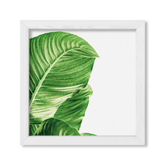 Cuadro Green Botanic Leaves 3 - comprar online