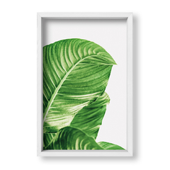 Cuadro Green Botanic Leaves 3 - tienda online