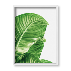 Cuadro Green Botanic Leaves 3 - tienda online