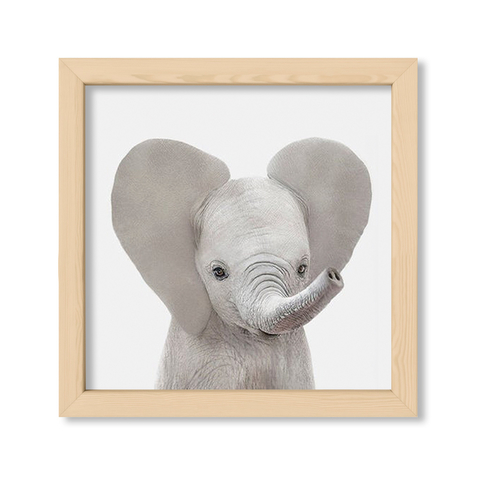 Cuadro Baby Elefante Frente