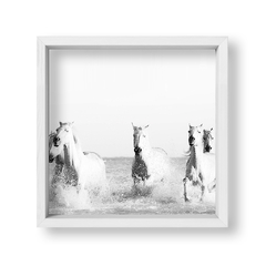 Cuadro White Horses - tienda online