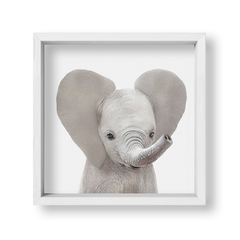 Cuadro Baby Elefante Frente - tienda online