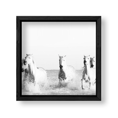 Imagen de Cuadro White Horses