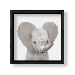 Imagen de Cuadro Baby Elefante Frente