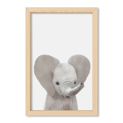 Cuadro Baby Elefante Frente