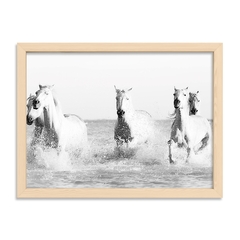 Cuadro White Horses