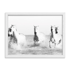 Cuadro White Horses - comprar online