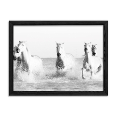 Cuadro White Horses en internet