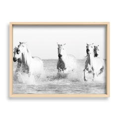Cuadro White Horses - El Nido - Tienda de Objetos