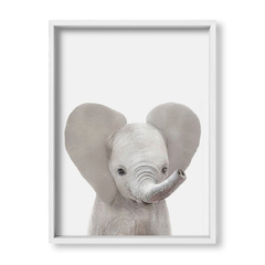 Cuadro Baby Elefante Frente - tienda online