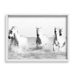 Cuadro White Horses - tienda online