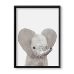 Imagen de Cuadro Baby Elefante Frente