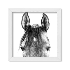 Cuadro Black and White Horse - comprar online