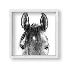 Cuadro Black and White Horse - tienda online