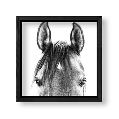 Imagen de Cuadro Black and White Horse